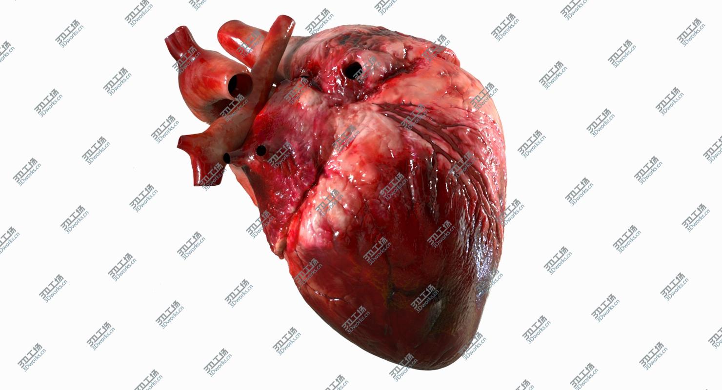 images/goods_img/20210113/3D Human Heart Anatomy (Animation) model/5.jpg
